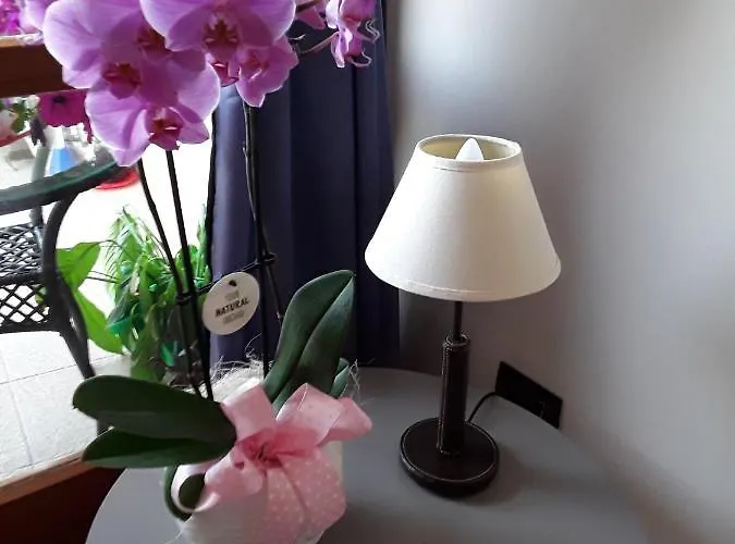 La Terrazza Sul Mare 3* Portoferraio